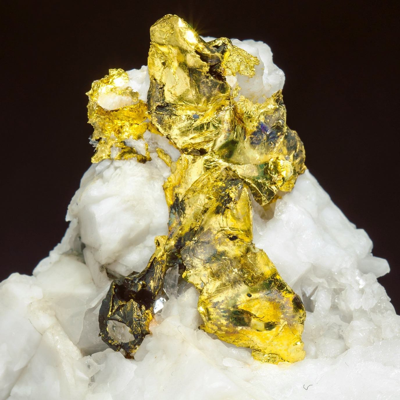 Gold on Quartz
Specimen size: 6 × 3.7 × 6 cm
(Autor: Jordi Fabre)