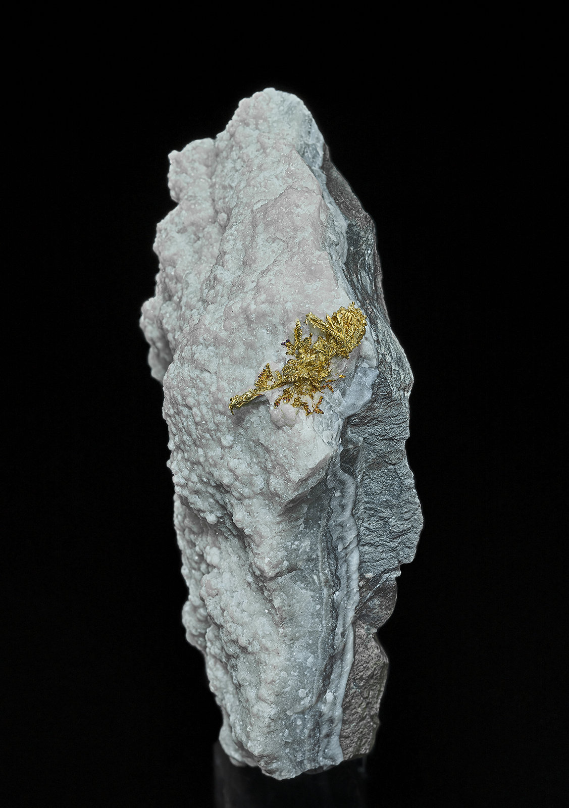 Gold
9.0 x 7.0 cm
(Autor: am mizunaka)