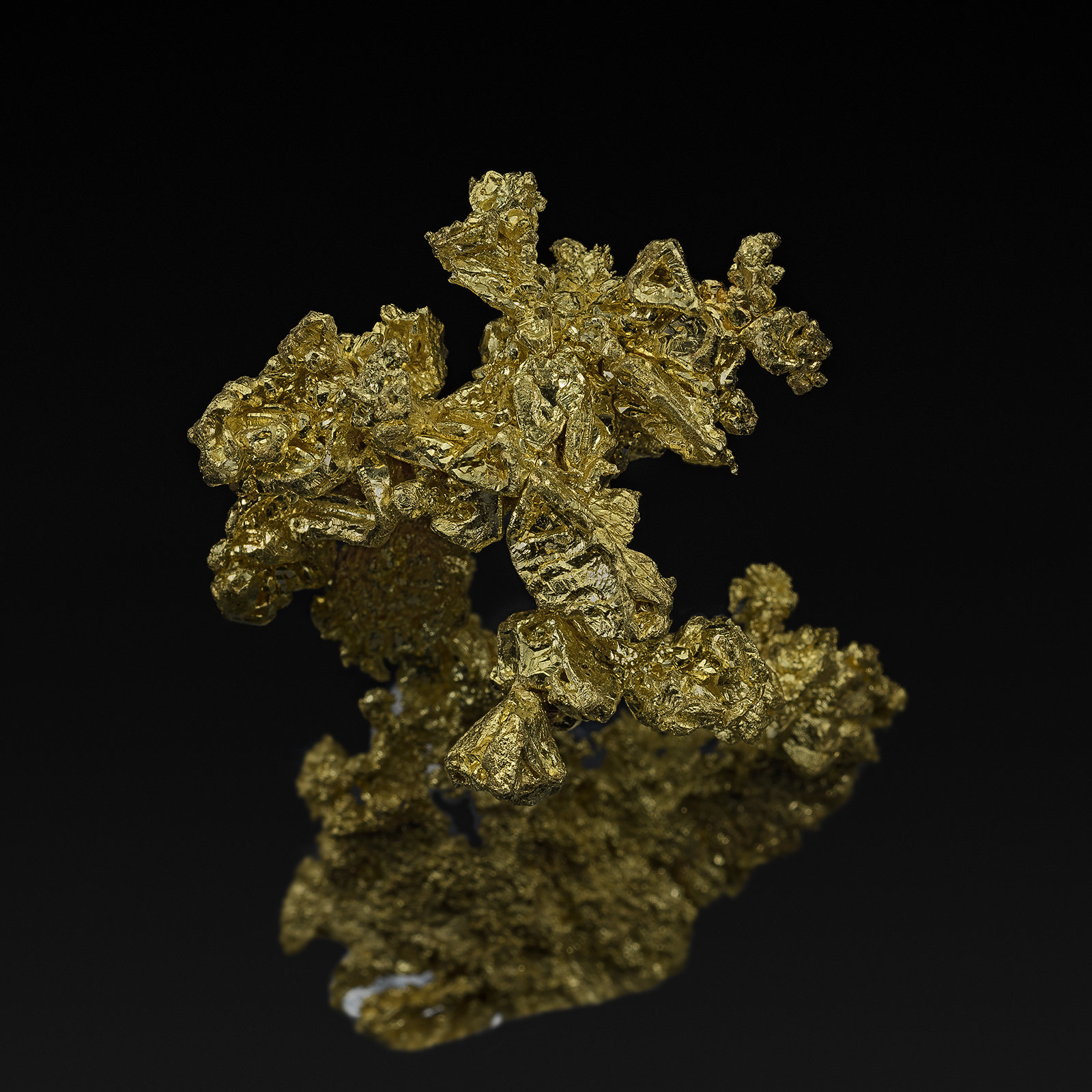 Gold
4.9 x 3.8 cm
(Autor: am mizunaka)
