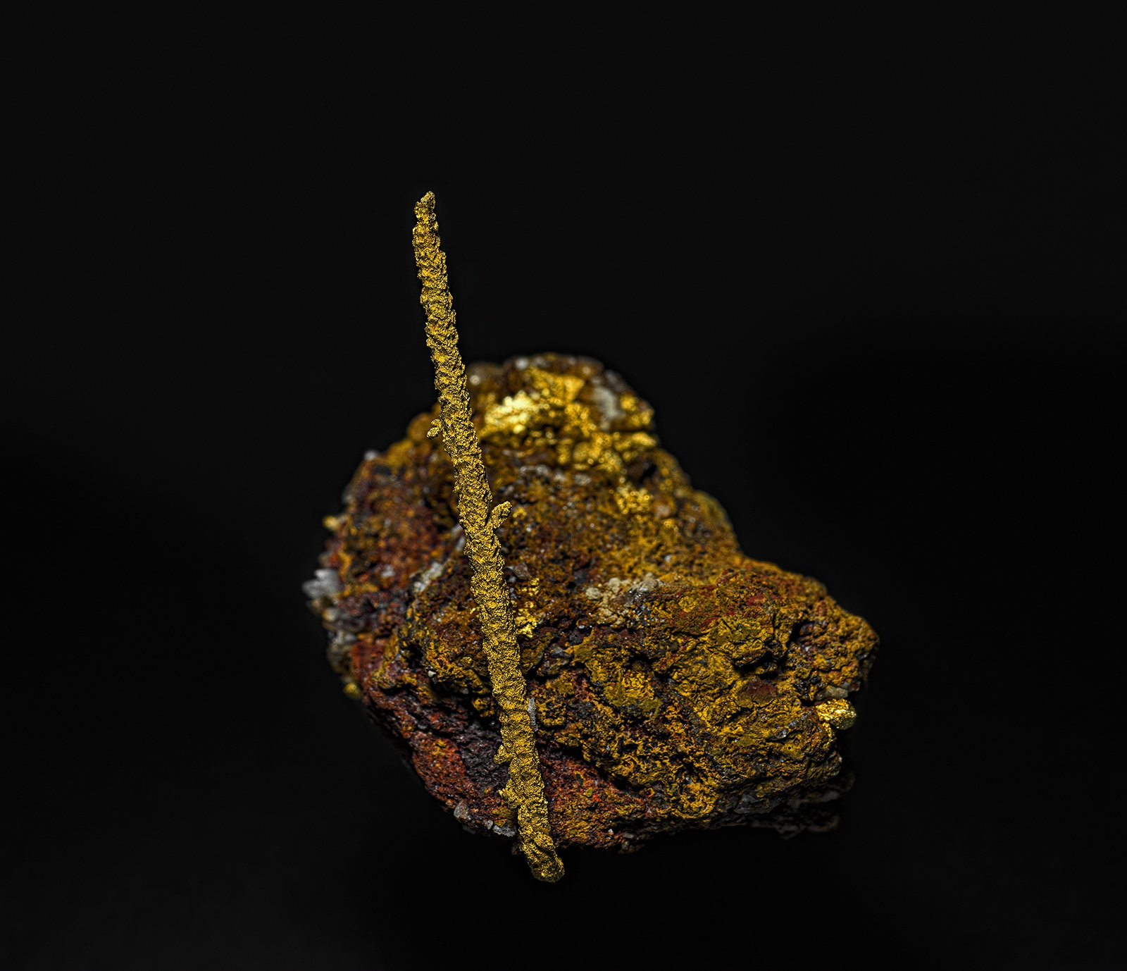 Gold
2.7 x 2.1 cm
(Autor: am mizunaka)
