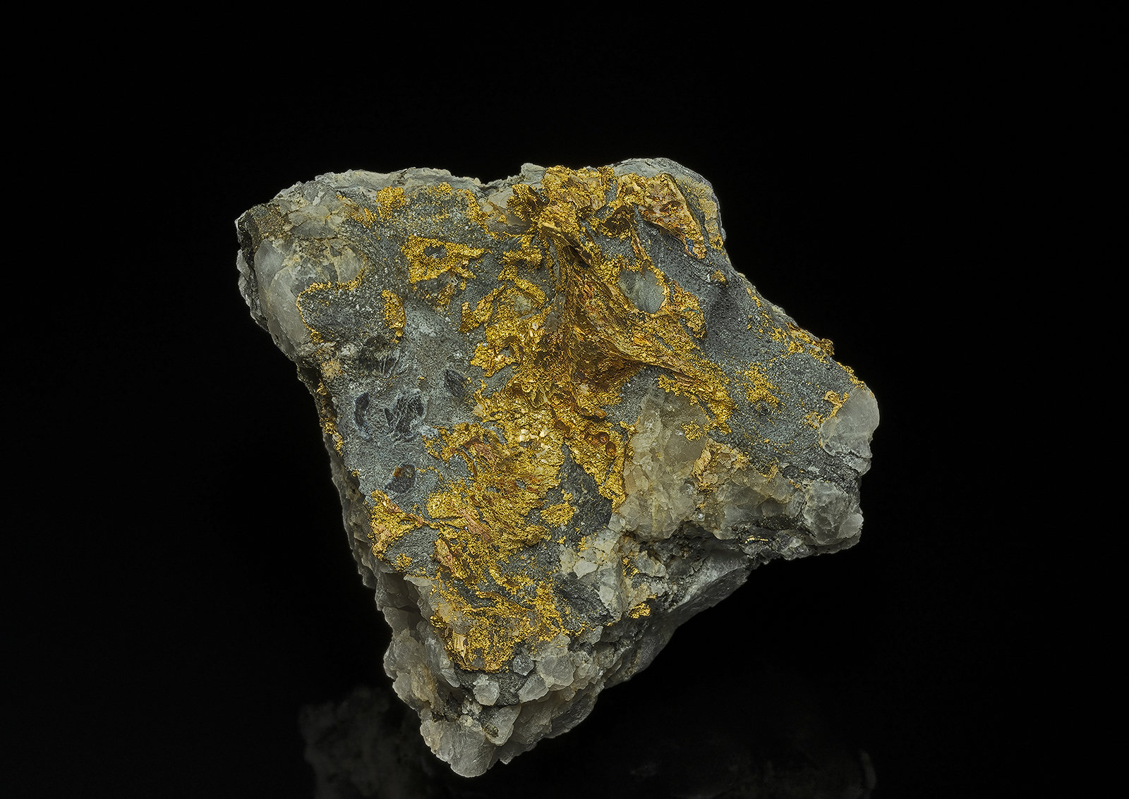 Gold
8.0 x 7.7 cm
(Autor: am mizunaka)
