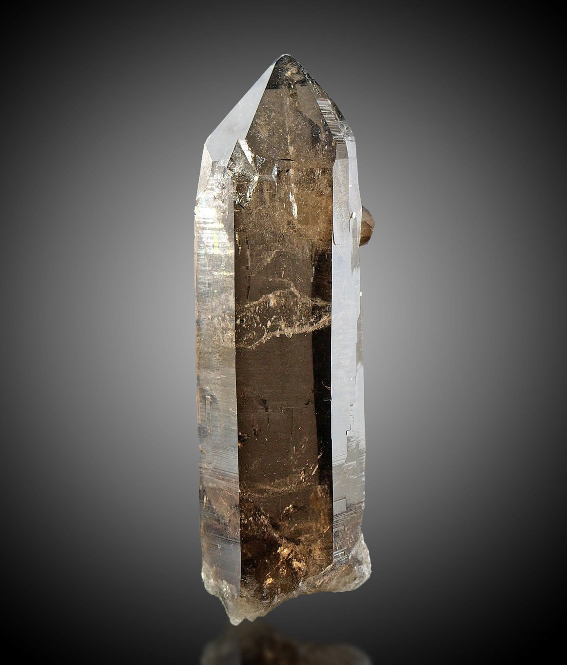 Quartz
Specimen height 12,5 cm
(Autor: Tobi)