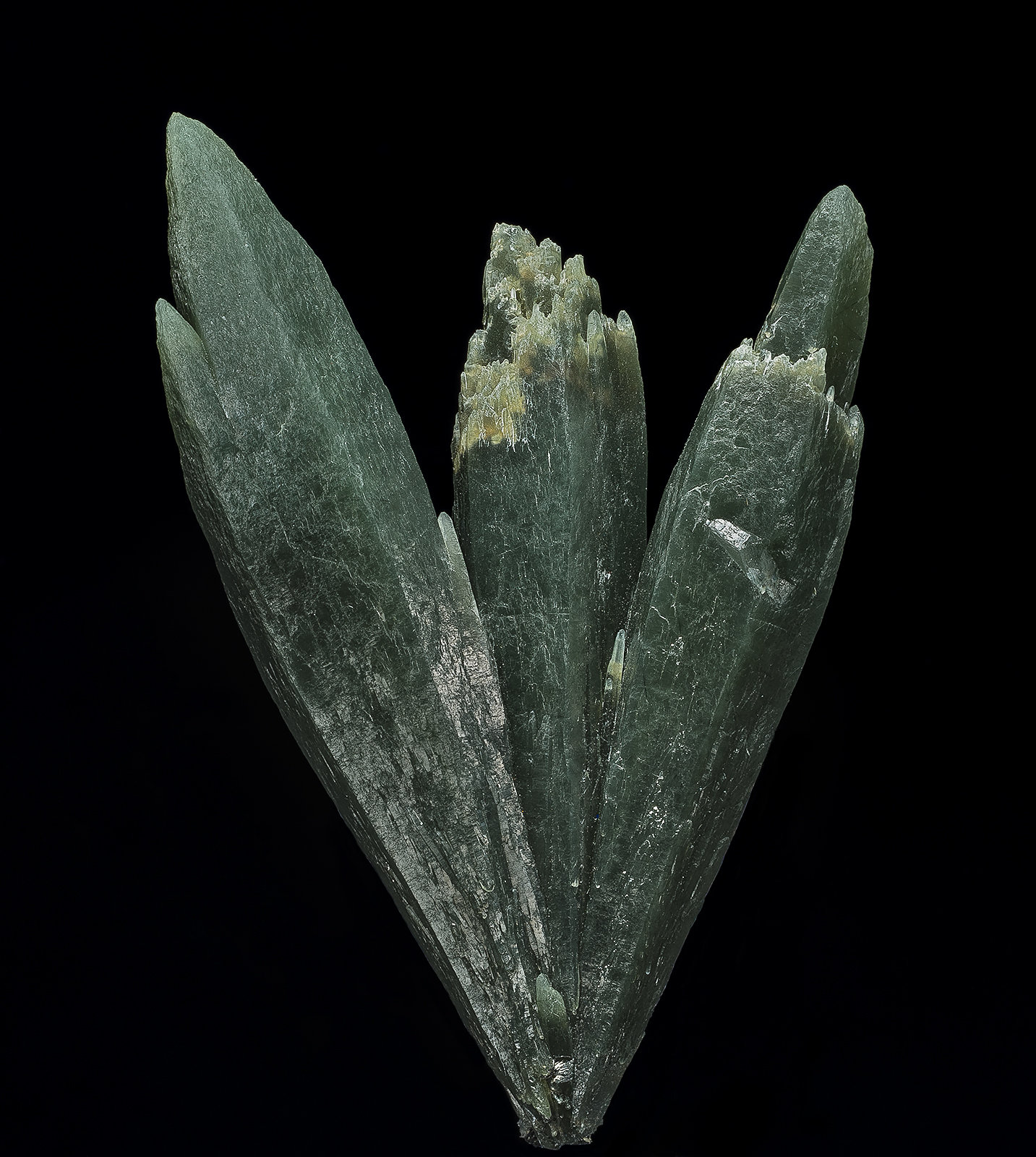 Quartz (variety prase)
9.0 x 6.0 x 1.5 cm
(Autor: am mizunaka)