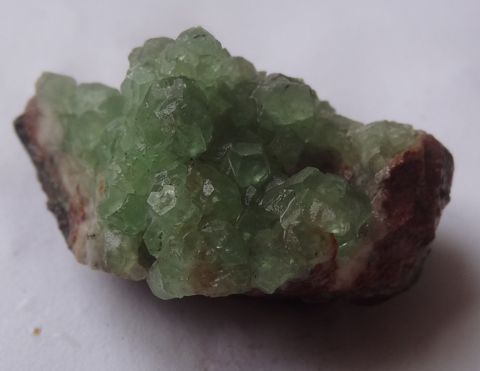 Smithsonite
3x3x1,5cm
(Autor: Dave van Bladel)
