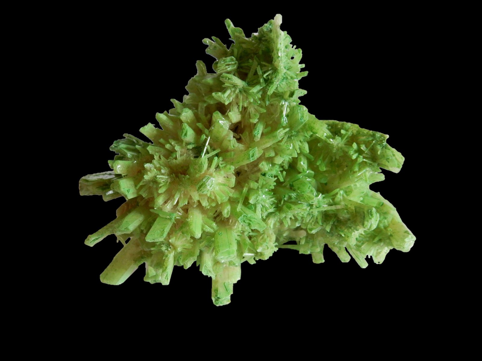 Gypsum (variety selenite)
120x100x70 mm
(Autor: Dany Mabillard)