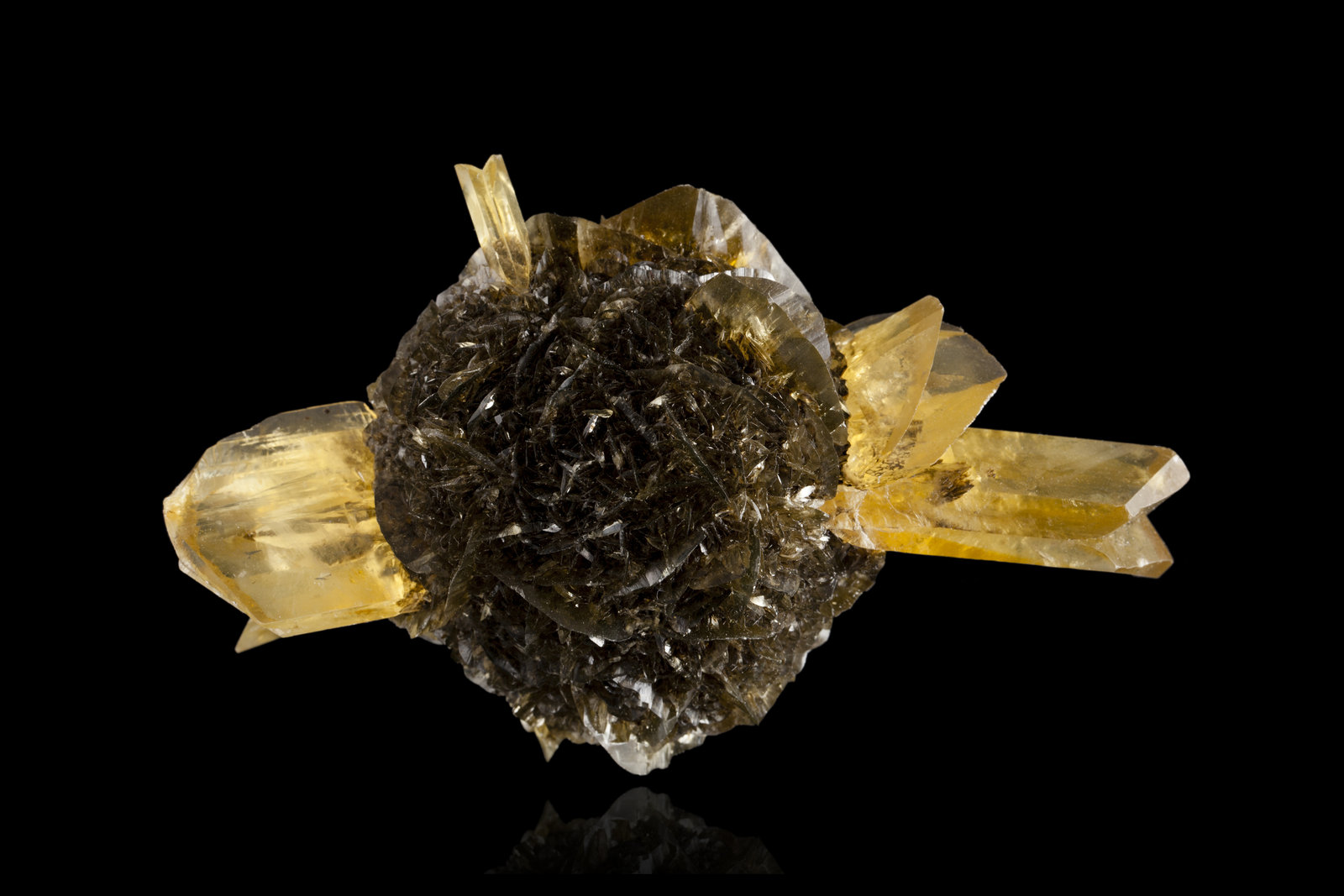 Gypsum
13 x 8 x 7 cm
(Autor: MIM Museum)