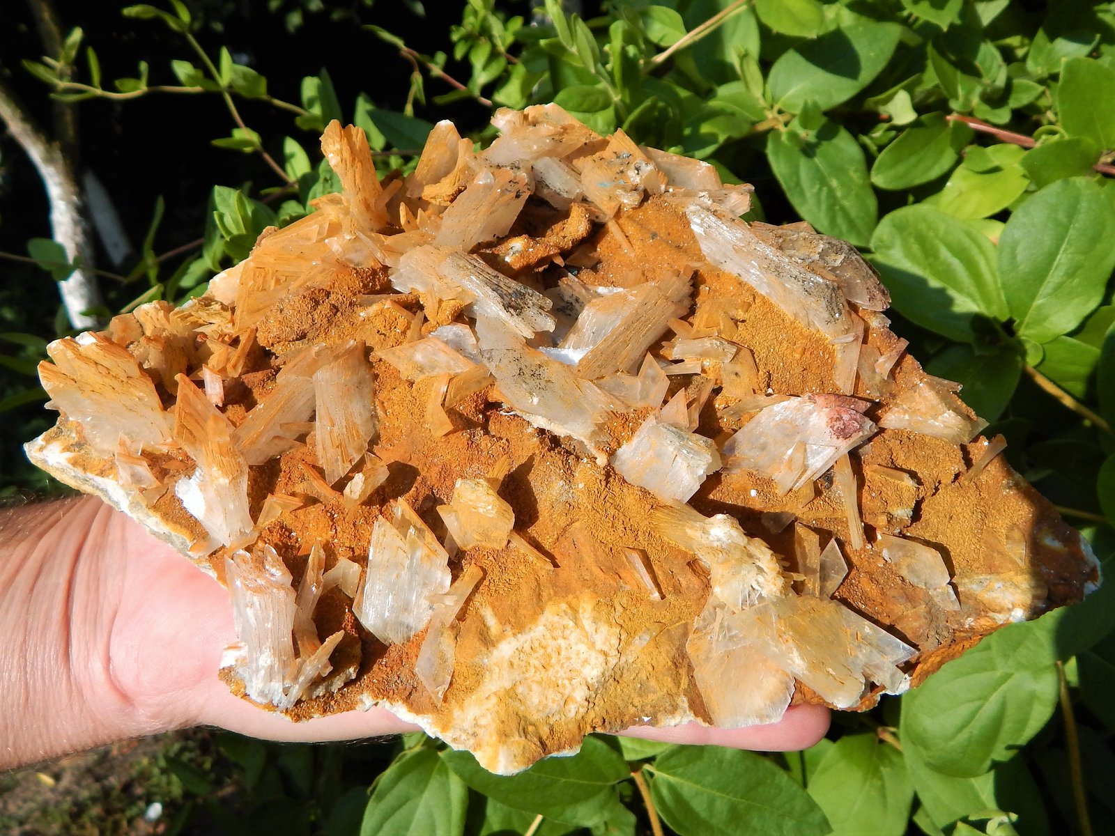 Gypsum, Siderite
21 x 16 cm
(Autor: Deyu)