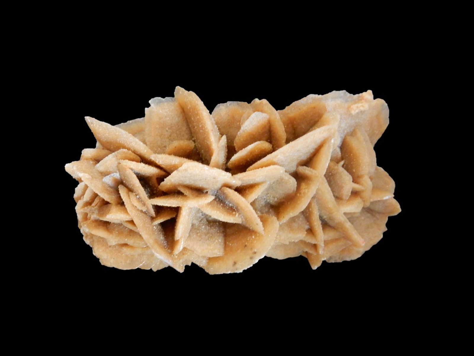 Gypsum (variety desert rose)
120 mm x 60 mm x 60 mm
(Autor: Dany Mabillard)