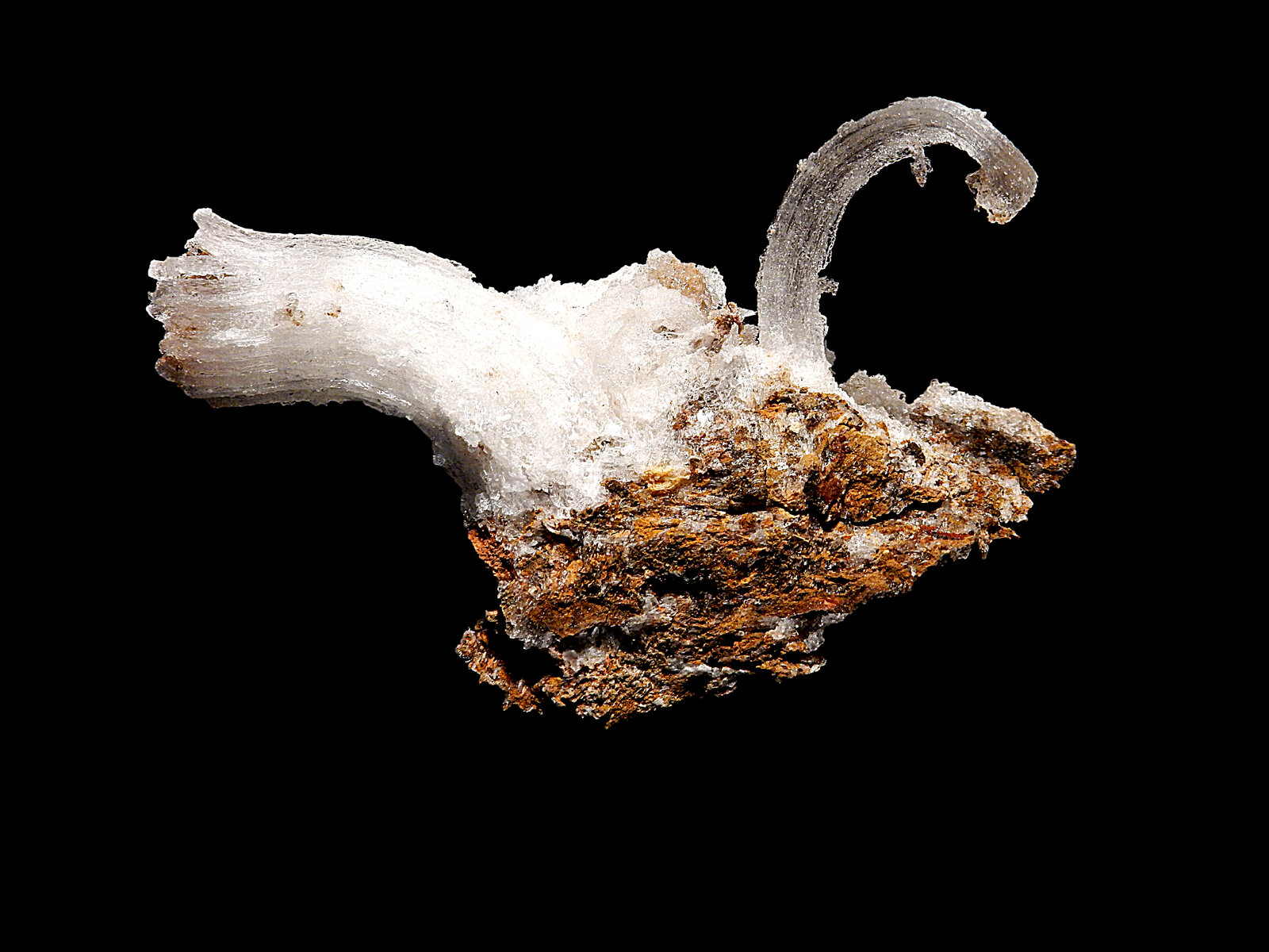 Gypsum (variety selenite)
Taouima, Nador Province, Oriental Region, Morocco
110 mm x 30 mm x 50 mm
(Autor: Dany Mabillard)