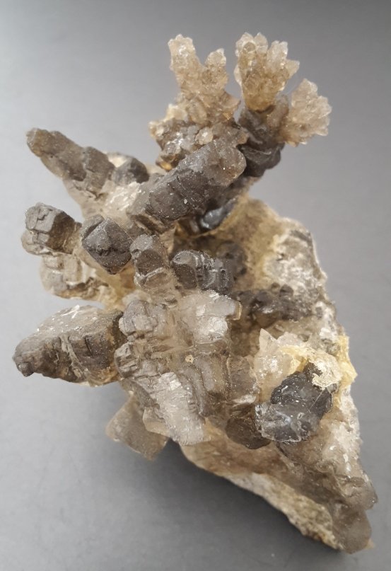 Halite
7 x 6 cm
(Autor: Andreas Gerstenberg)