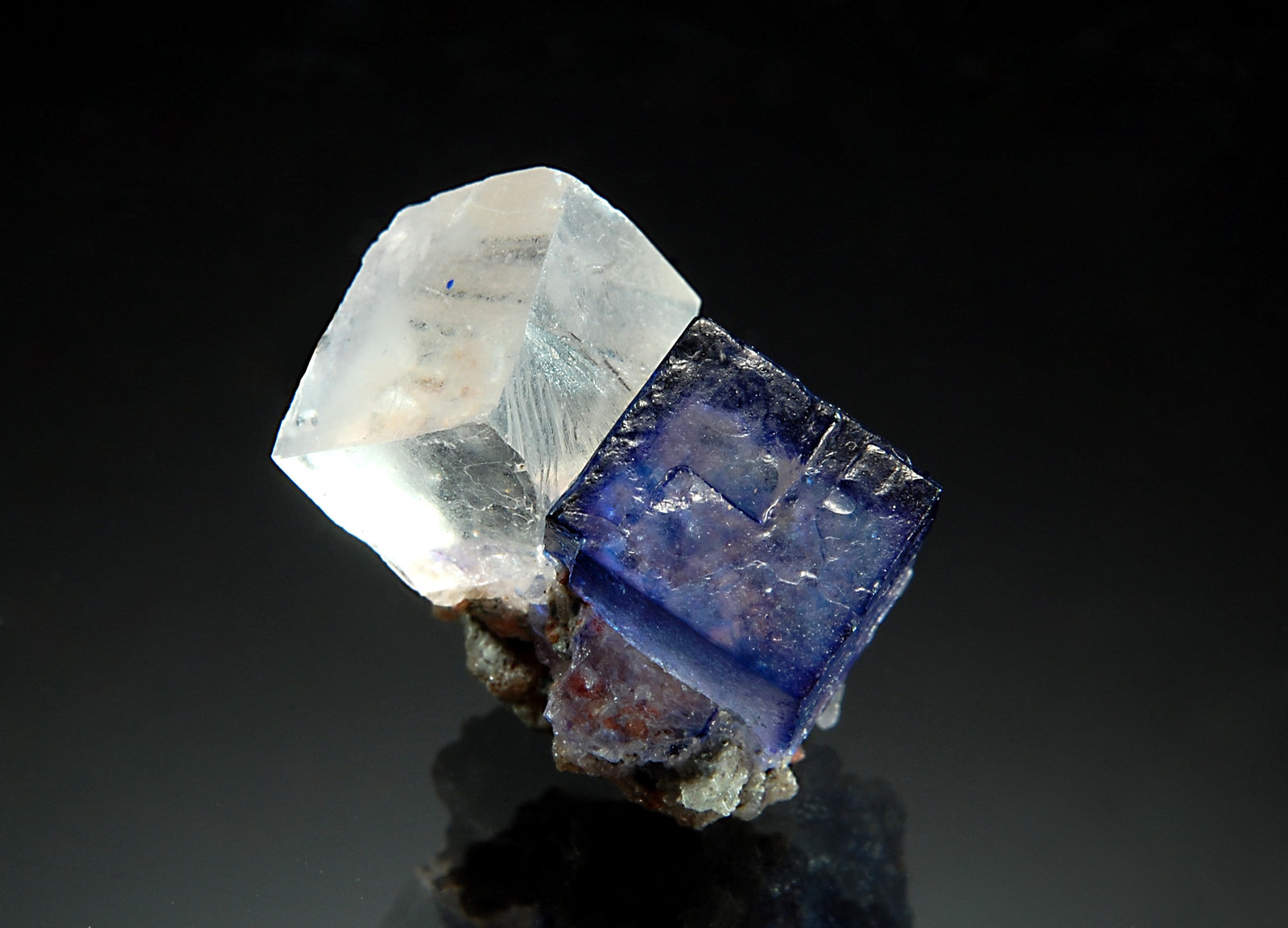 Halite
2.0 x 2.0 cm
(Autor: Michael Shaw)