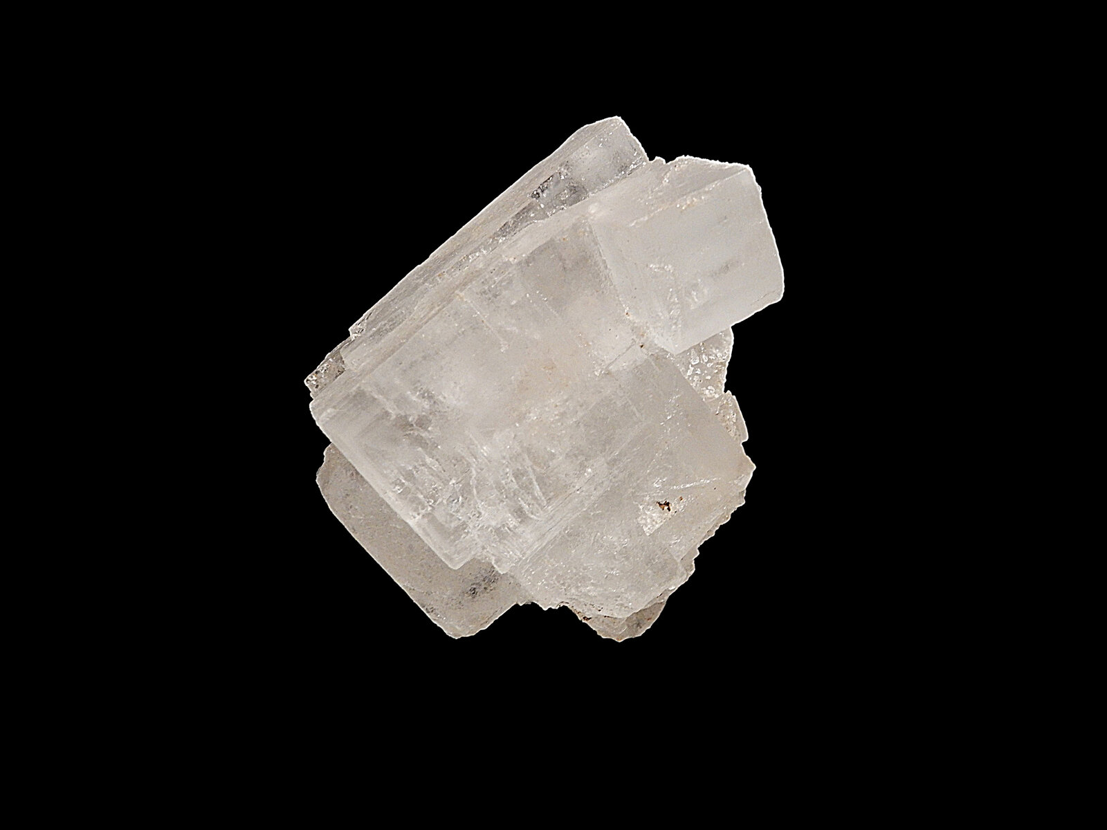 Halite
Zona Demnate, Provincia Azilal, Región Béni Mellal-Khénifra, Marruecos
90 mm x 60 mm x 60 mm
(Autor: Dany Mabillard)