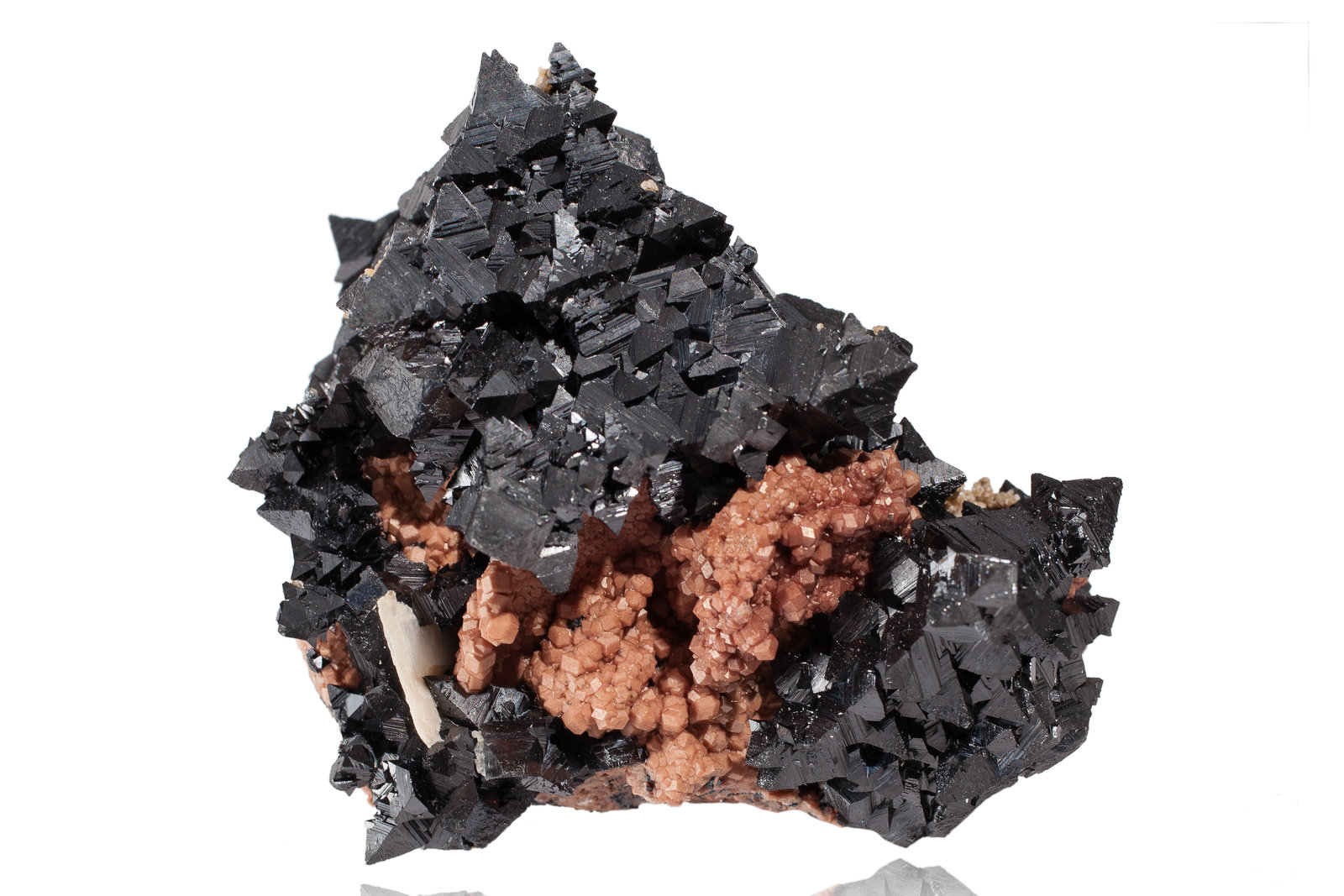 Hausmannite on Andradite
7 x 6.5 x 5.5 cm / main crystal: 1 cm
(Autor: MIM Museum)