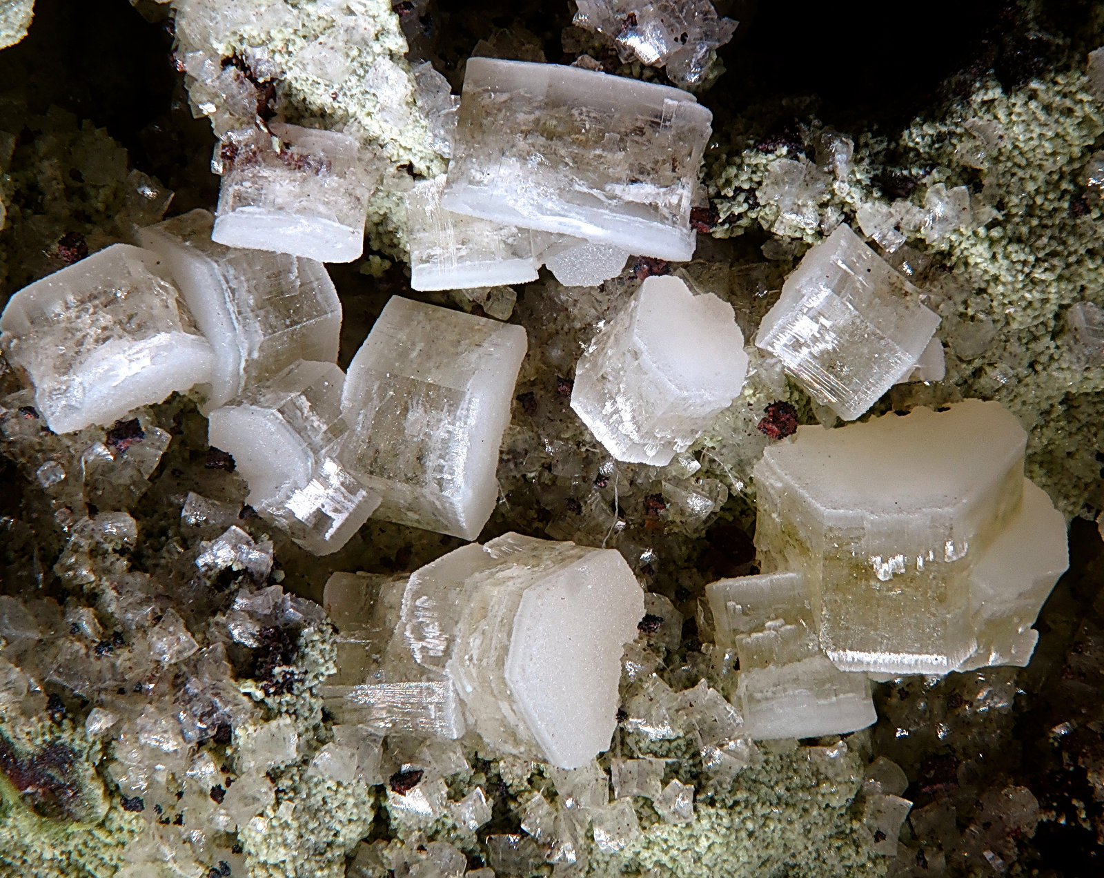 Hedyphane
fov 6 mm
(Autor: Jordi Fabre)