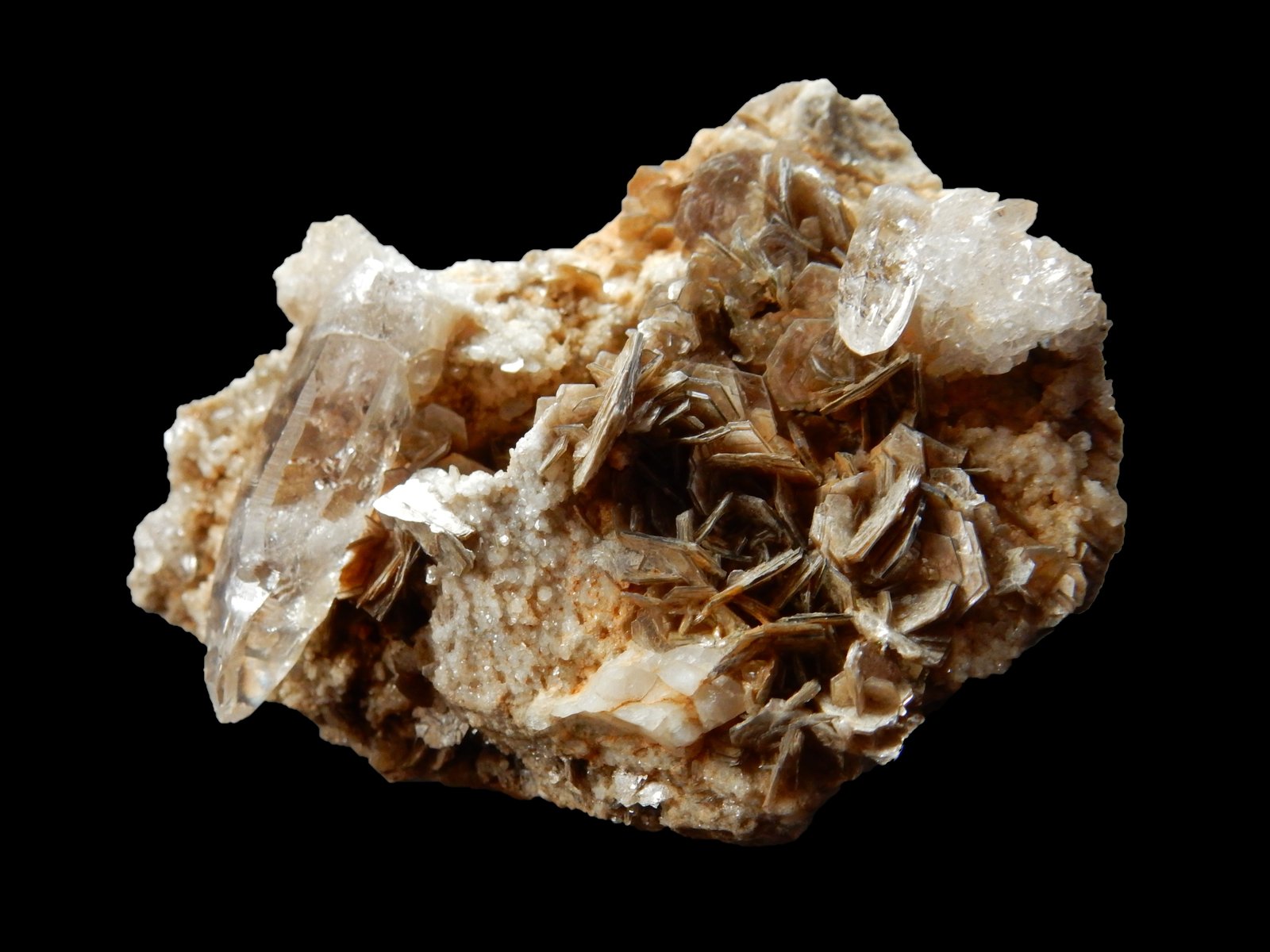 Muscovite - Quartz
60 mm x 40 mm x 30 mm
(Autor: Dany Mabillard)