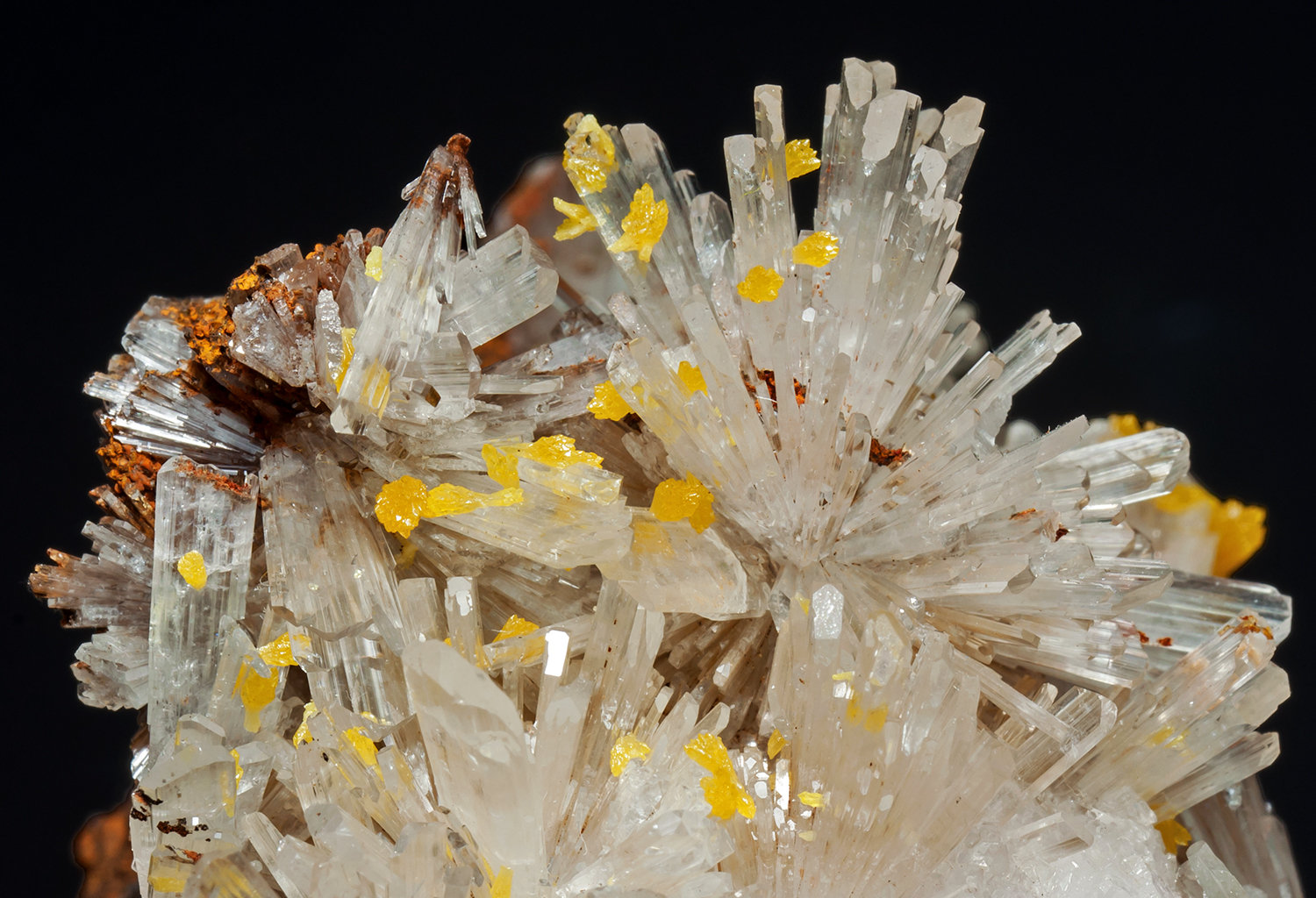 main crystal size: 1.2 × 0.5 cm
(Autor: Jordi Fabre)