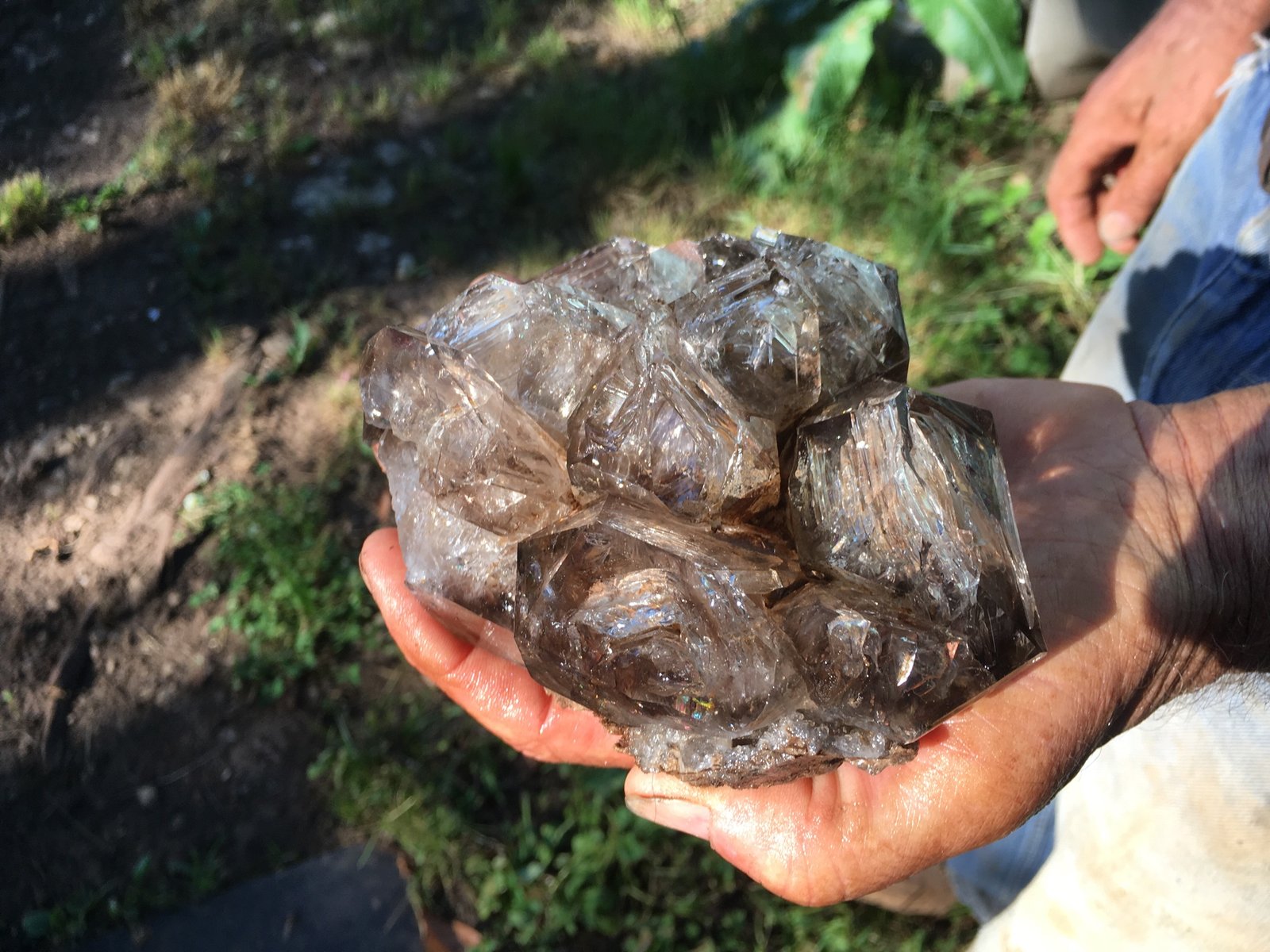 Quartz
15 cm
(Autor: vic rzonca)