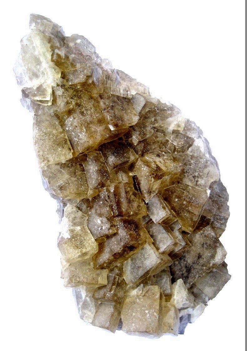Specimen height 11,5 cm
(Autor: Tobi)