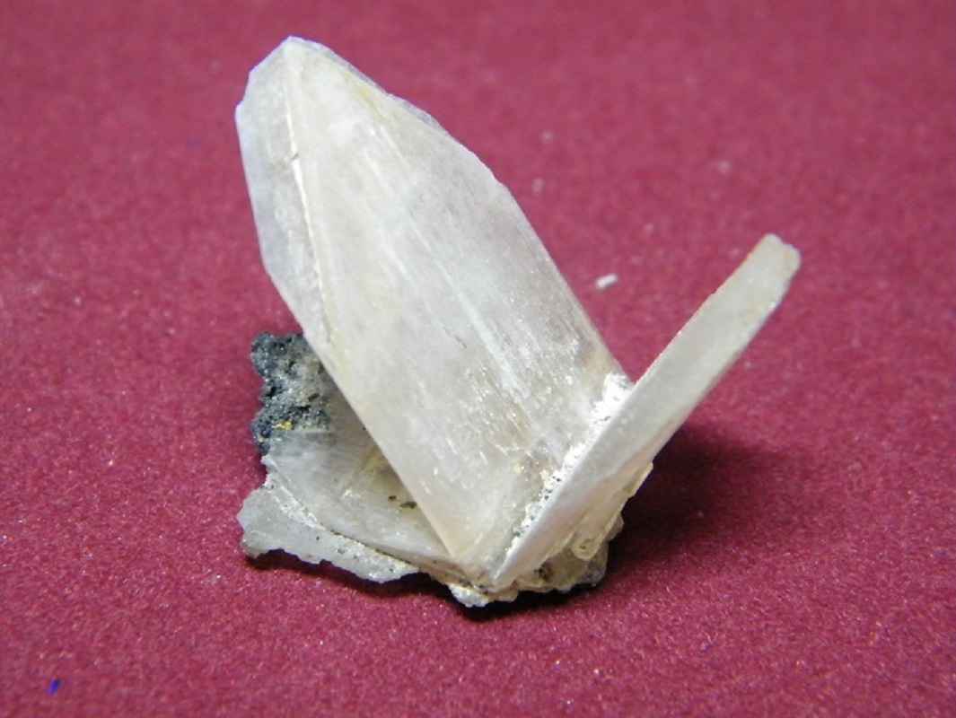 Cerussite
40x35mm
(Autor: Heimo Hellwig)