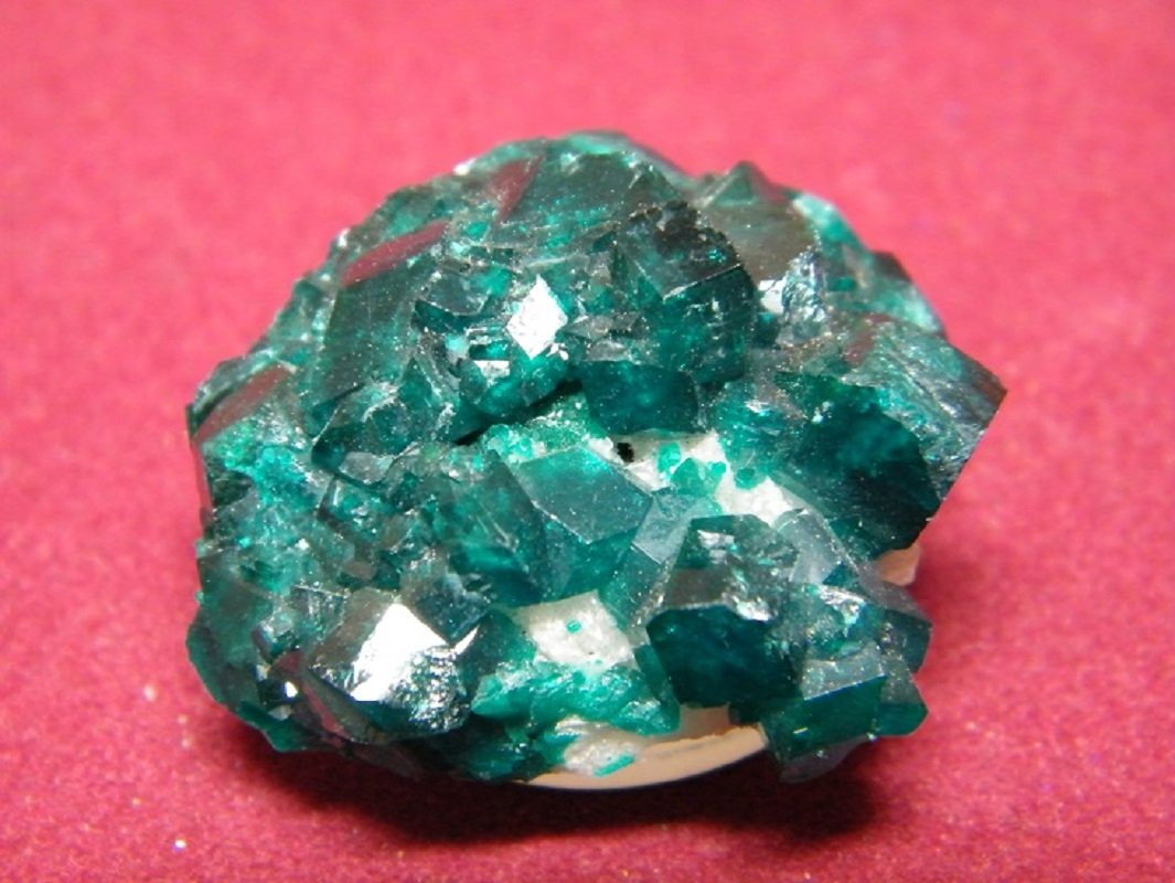 Dioptase
35x30mm
(Autor: Heimo Hellwig)