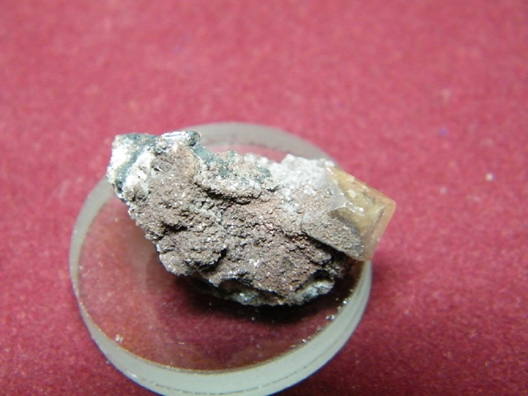 Wulfenite
25x15mm
(Autor: Heimo Hellwig)