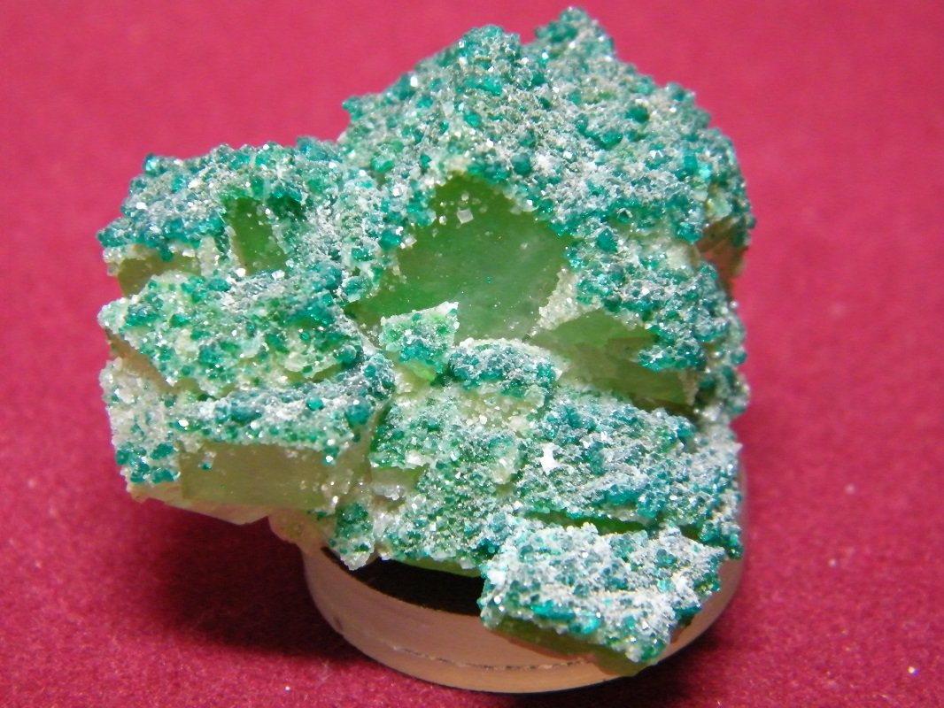 Calcite with Dioptase
40x35mm
(Autor: Heimo Hellwig)