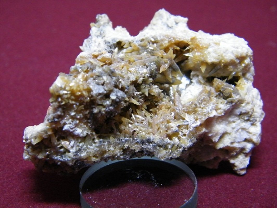 Mimetite
60x40mm
(Autor: Heimo Hellwig)