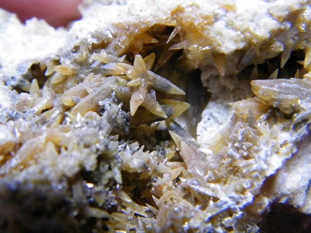 Mimetite
60x40mm
(Autor: Heimo Hellwig)