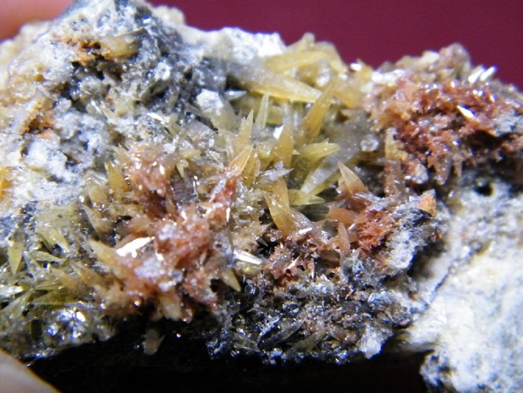Mimetite
75x35mm
(Autor: Heimo Hellwig)