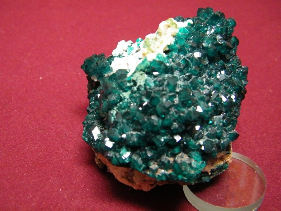 Dioptase
60x50mm
(Autor: Heimo Hellwig)