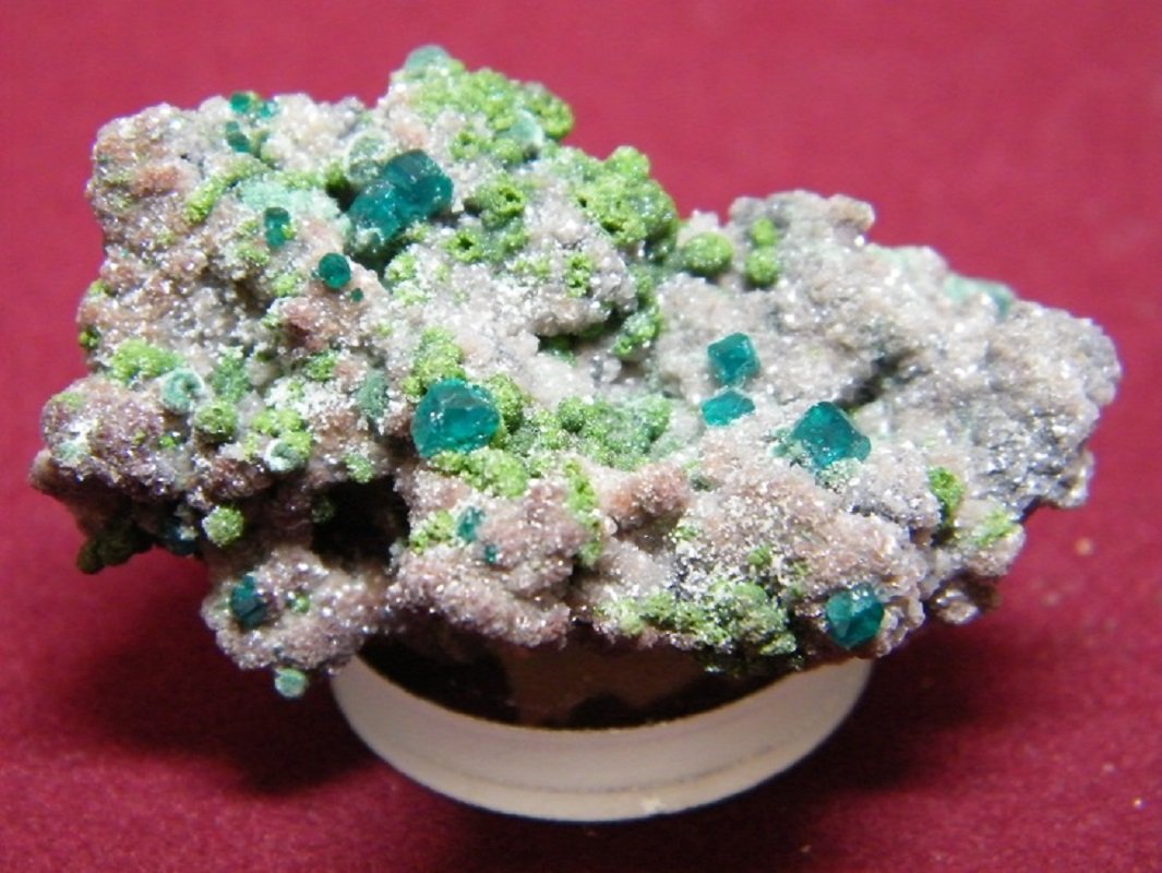 Dioptase
50x30mm
(Autor: Heimo Hellwig)