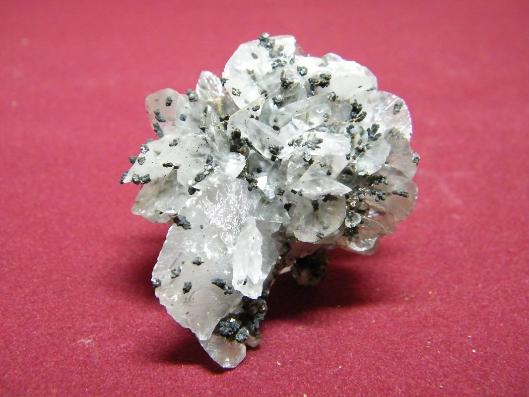 Calcite
60x40mm
(Autor: Heimo Hellwig)