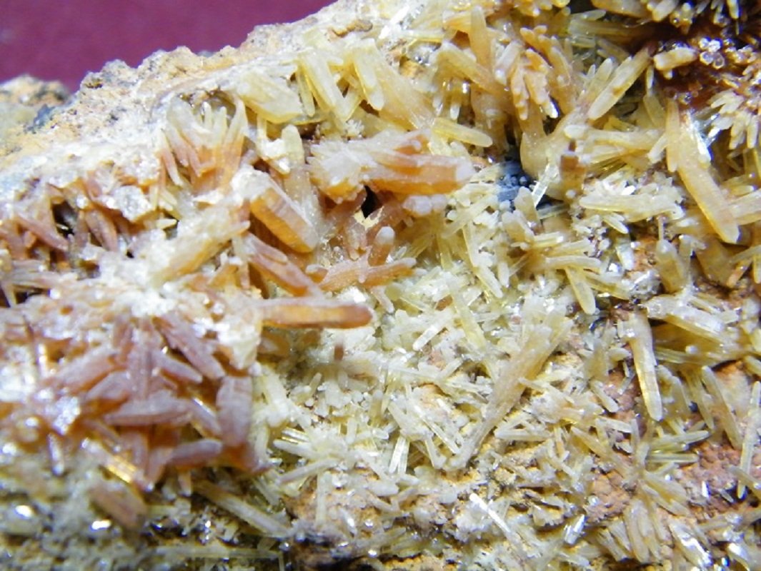 Mimetite
90x50mm
(Autor: Heimo Hellwig)
