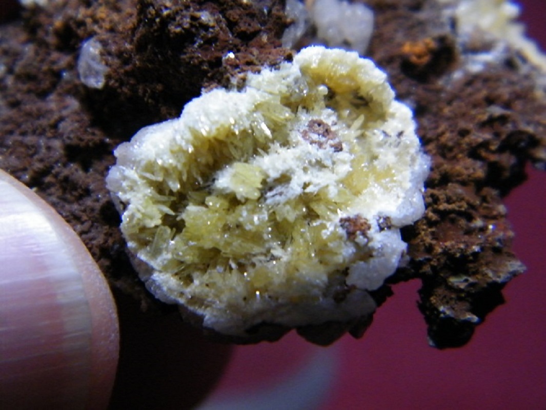 Mimetite
40x30mm
(Autor: Heimo Hellwig)