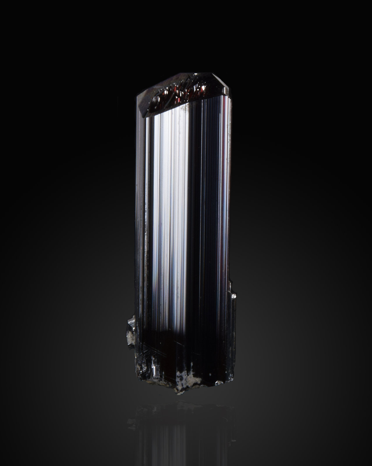 Rutile
2.7 cm
(Autor: dontgogreen)