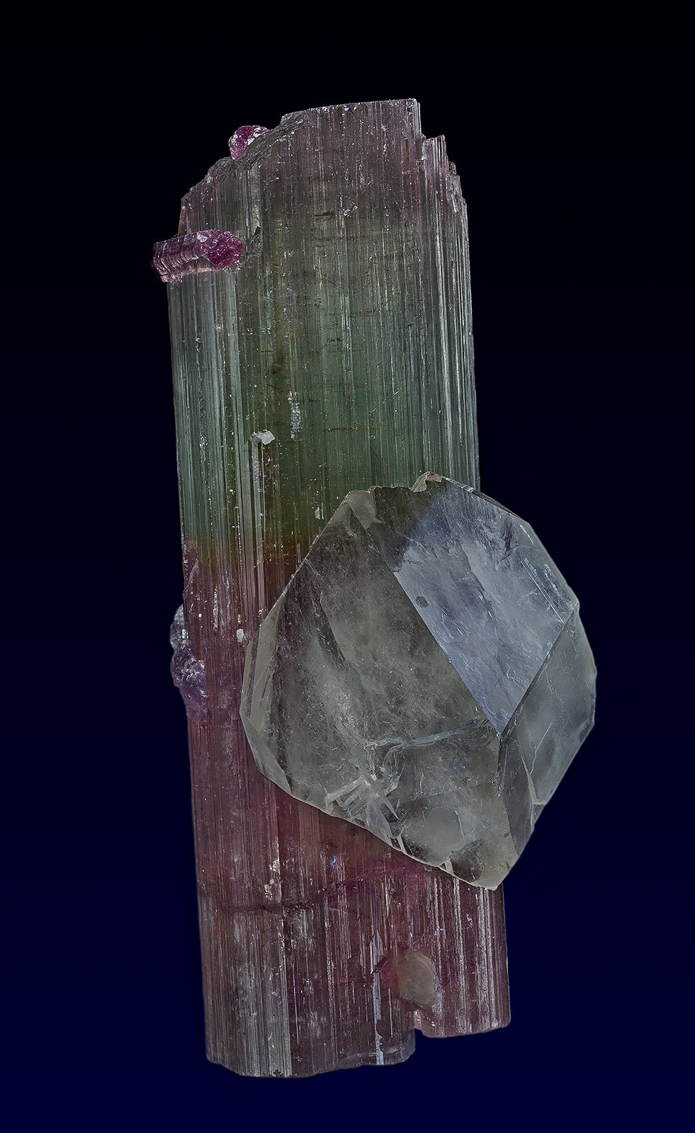 Elbaite, Quartz
10.5 x 4.2 cm
(Autor: am mizunaka)
