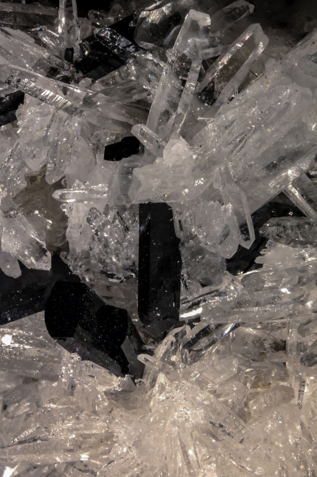 Hubnerite and Quartz
FOV 20 mm
(Autor: Adrian Pripoae)