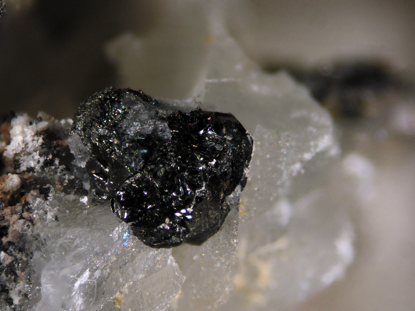 Hulsite
FOV 2.5 mm
(Autor: Cesar M. Salvan)