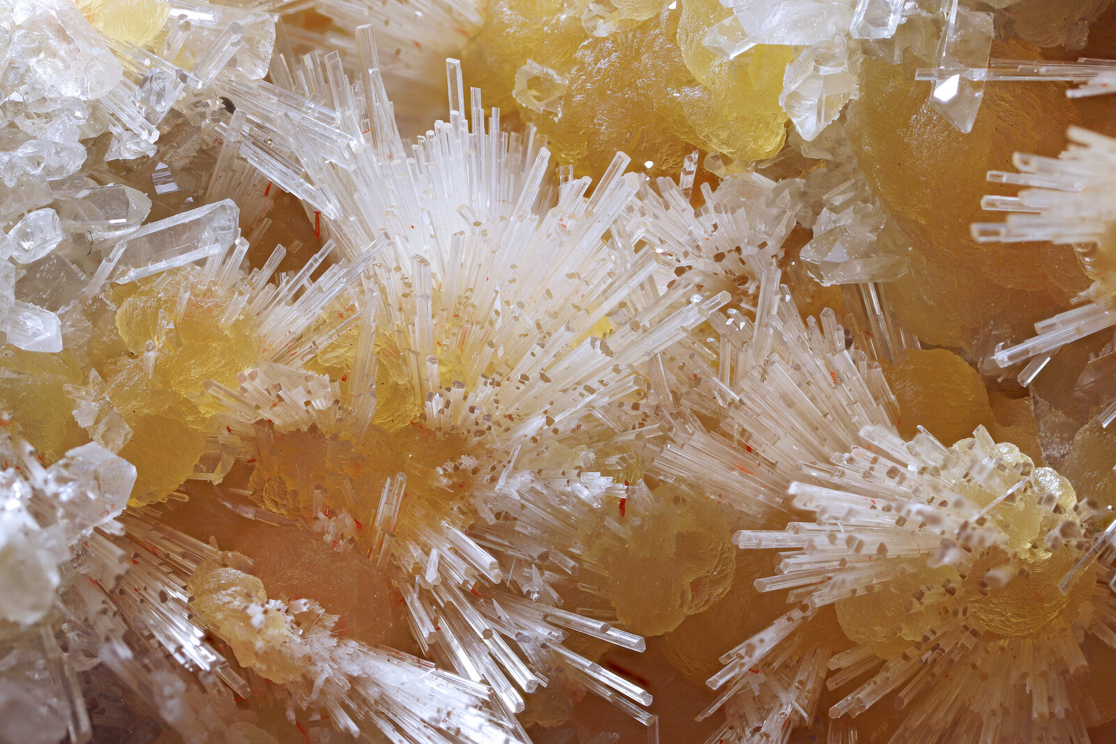 Hydroboracite on Calcite and with Celestine
Hisarcik Mine, Emet borate deposit, Emet District, Kütahya Province, Aegean Region, Turkey
main crystal size: 0.4 x 0.1 cm
(Autor: Jordi Fabre)