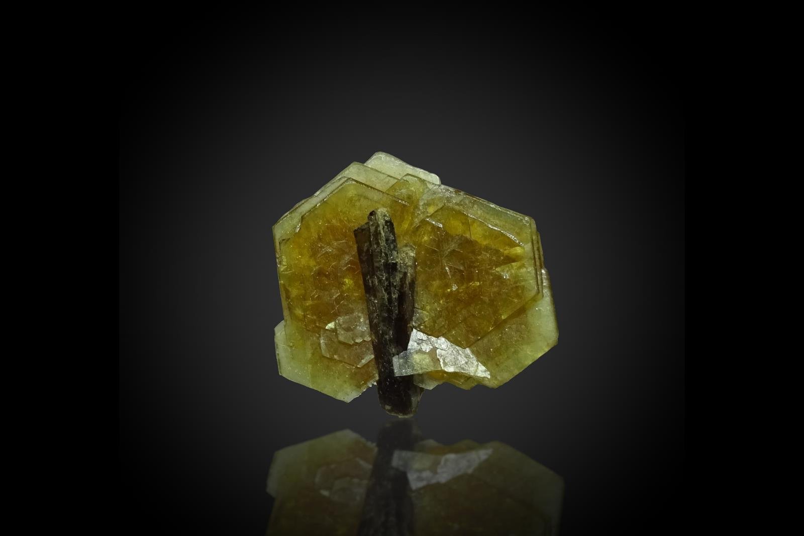 Hydroxylbastnäsite-(Ce) and Allanite-(Ce)
13 x 13 x 5 mm
(Autor: SunYi)