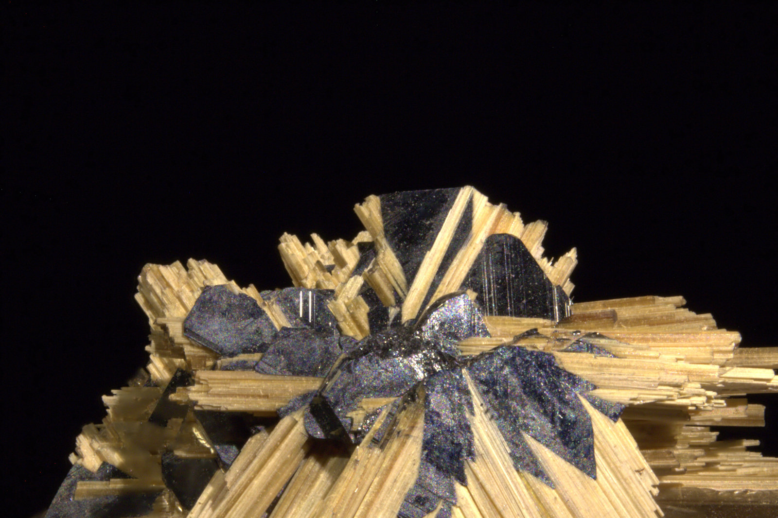 Rutile and Hematite
FOV 24 mm
(Autor: Adrian Pripoae)