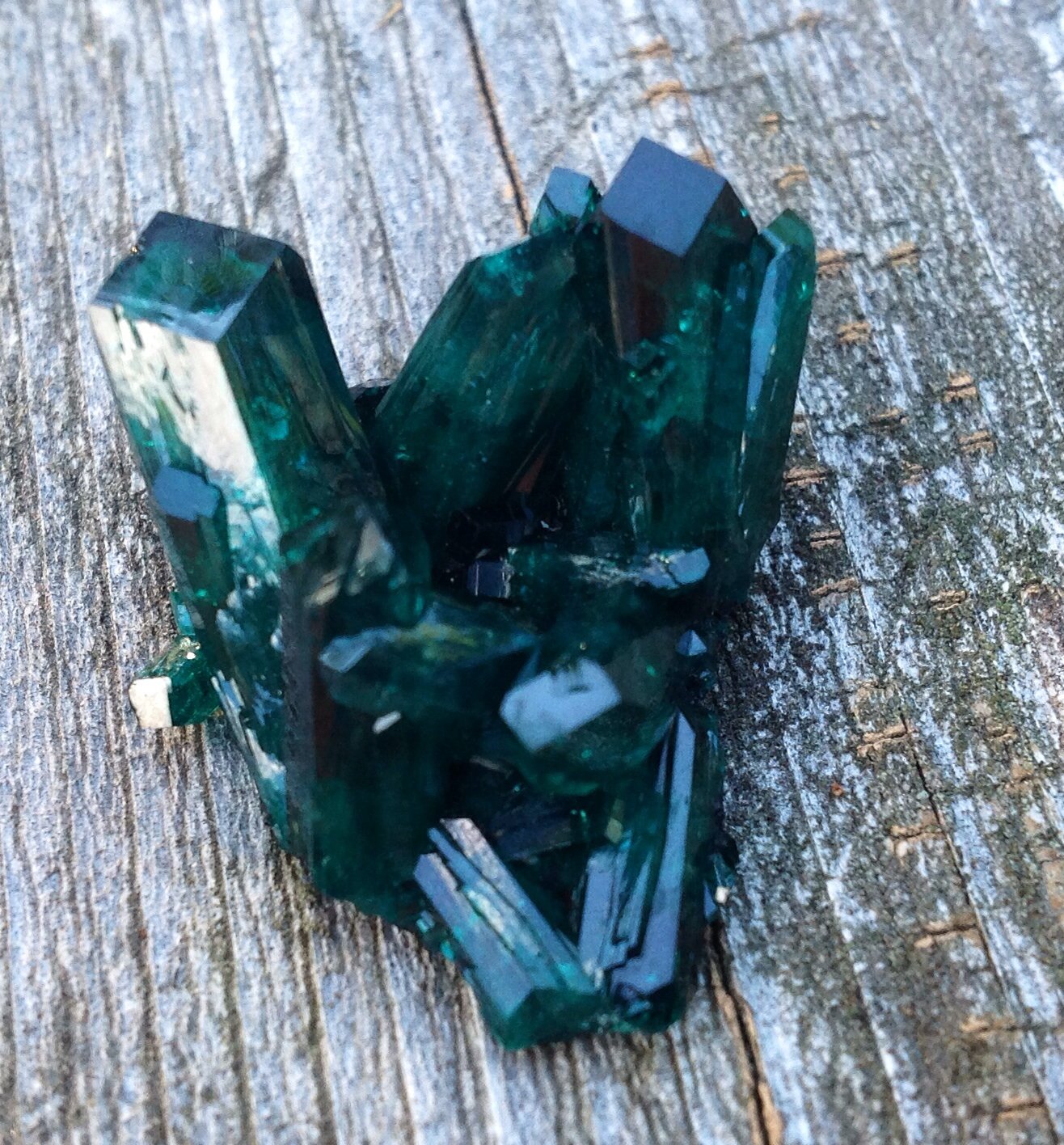 Dioptase
3.1 cm
(Autor: JC)