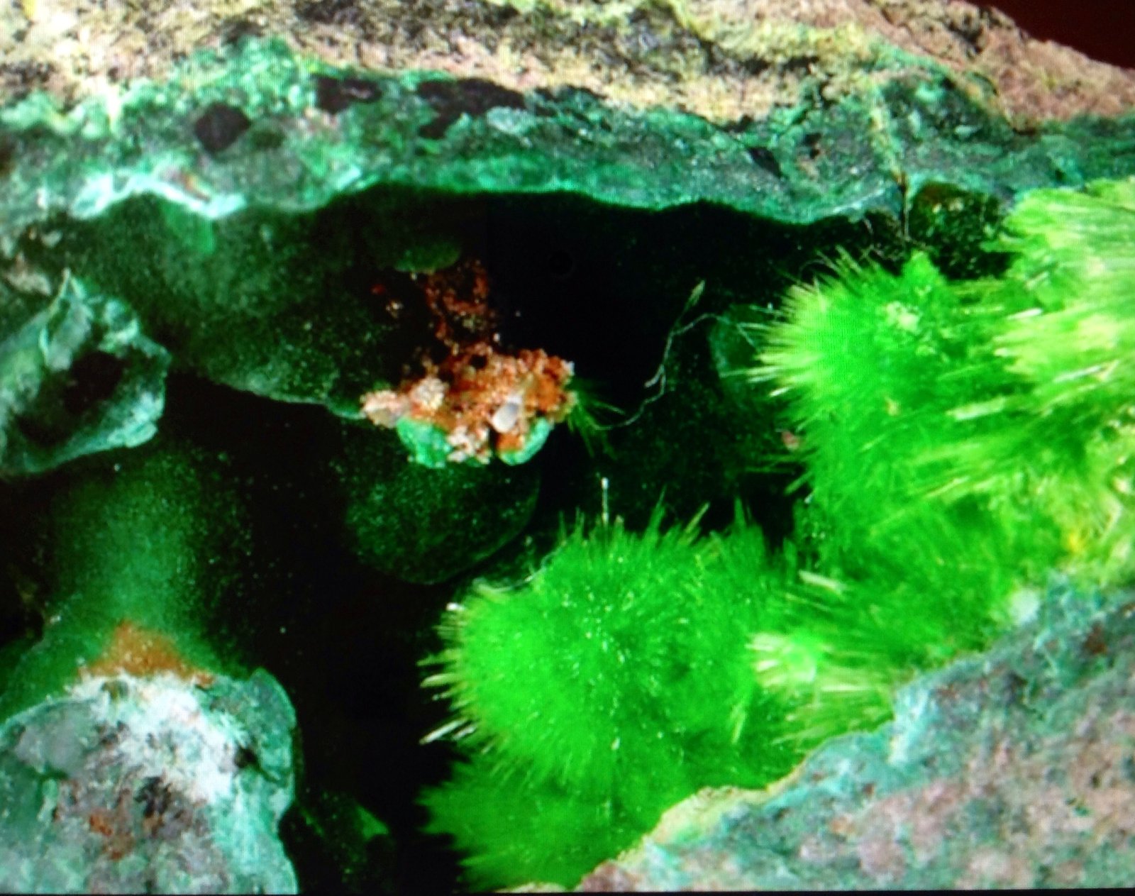 Cuprosklodowskite
6.6 cm
(Autor: JC)