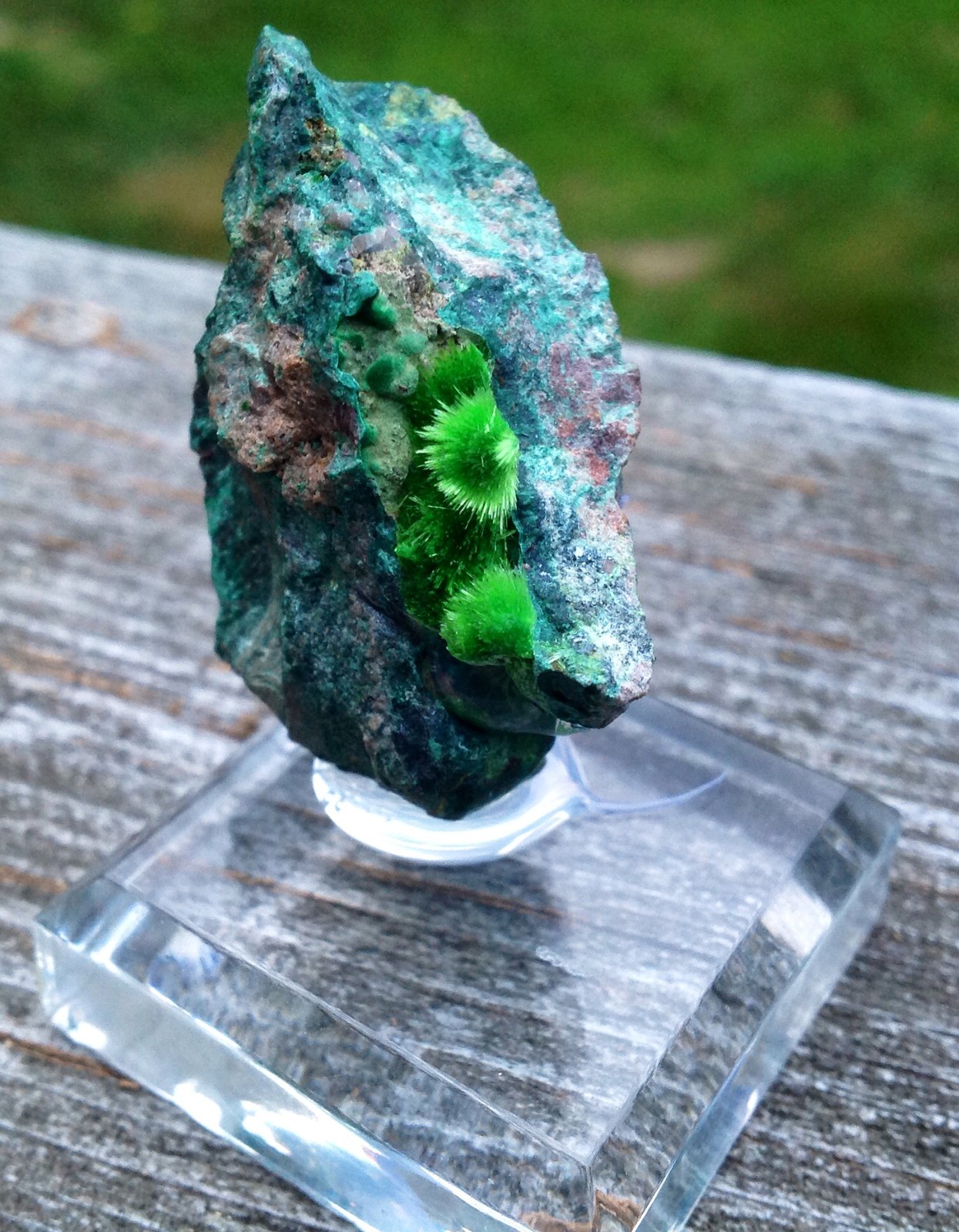 Cuprosklodowskite
6 cm
(Autor: JC)
