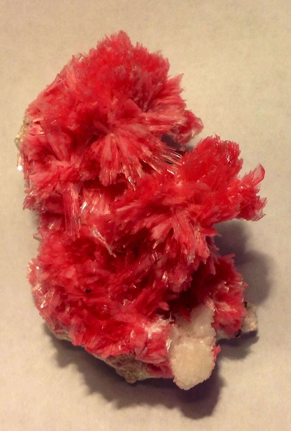 Rhodonite, Pyrrhotite
5.5 cm
(Autor: JC)
