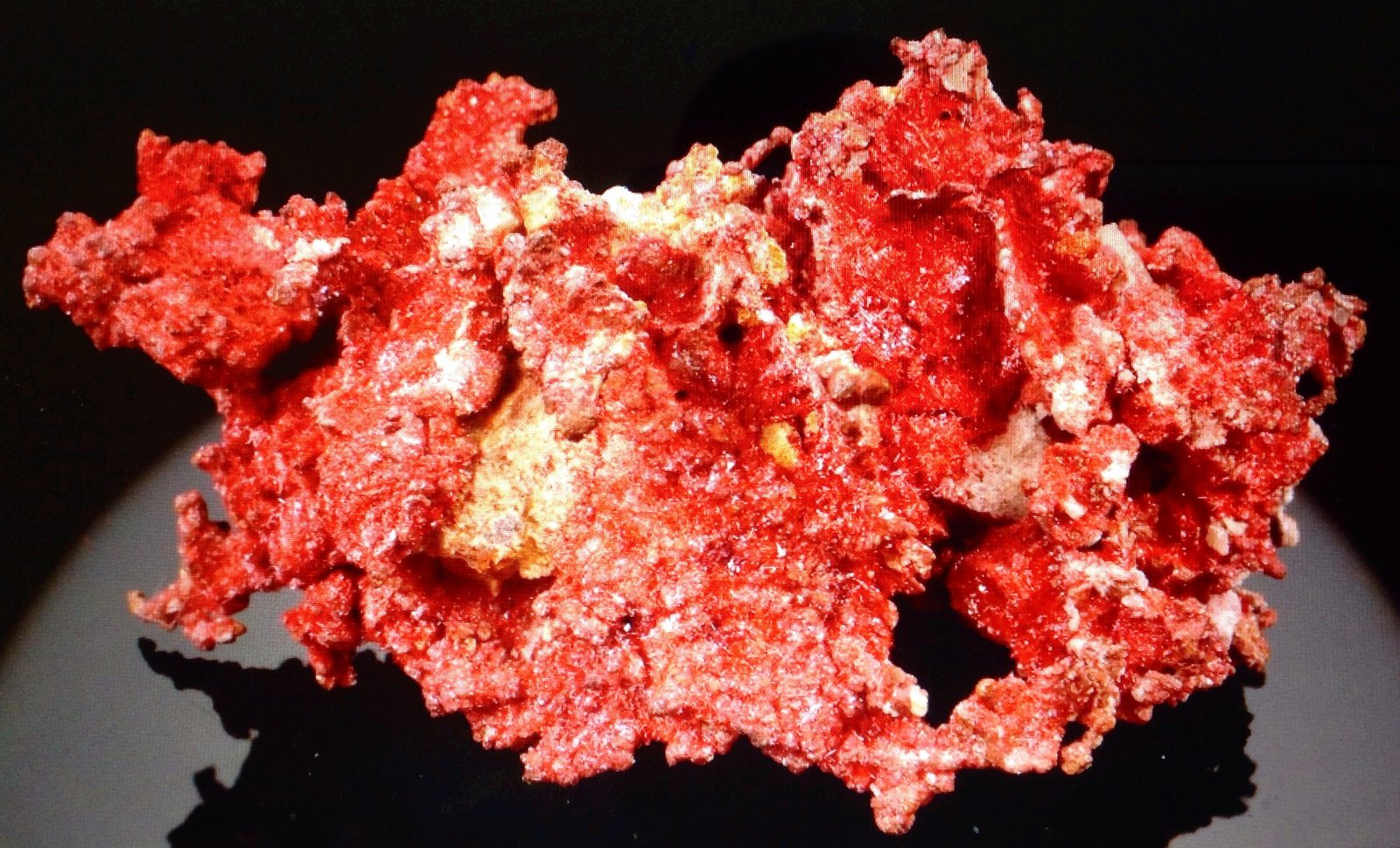 Cuprite (variety chalcotrichite)
5.4 x 2.9 x 2.46 cm
(Autor: JC)