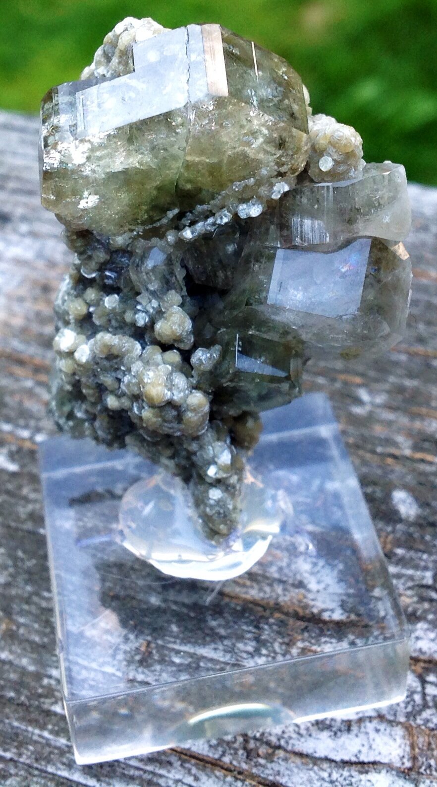 Fluorapatite with Muscovite
5 cm
(Autor: JC)