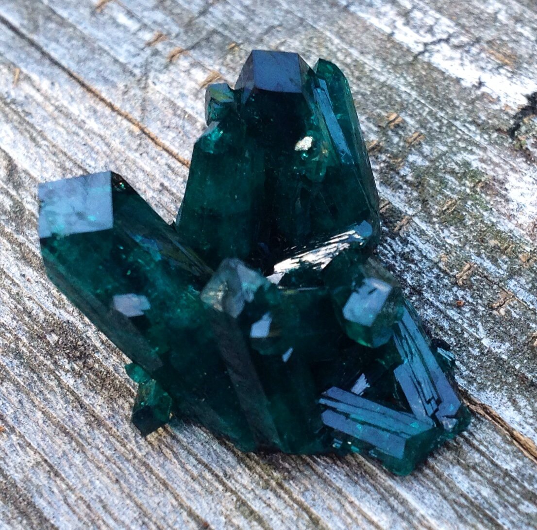 Dioptase
3.1 cm
(Autor: JC)