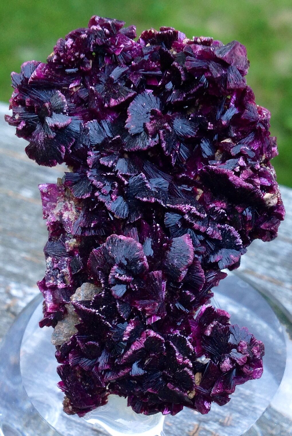Erythrite
5.7 x 3.8 cm
(Autor: JC)