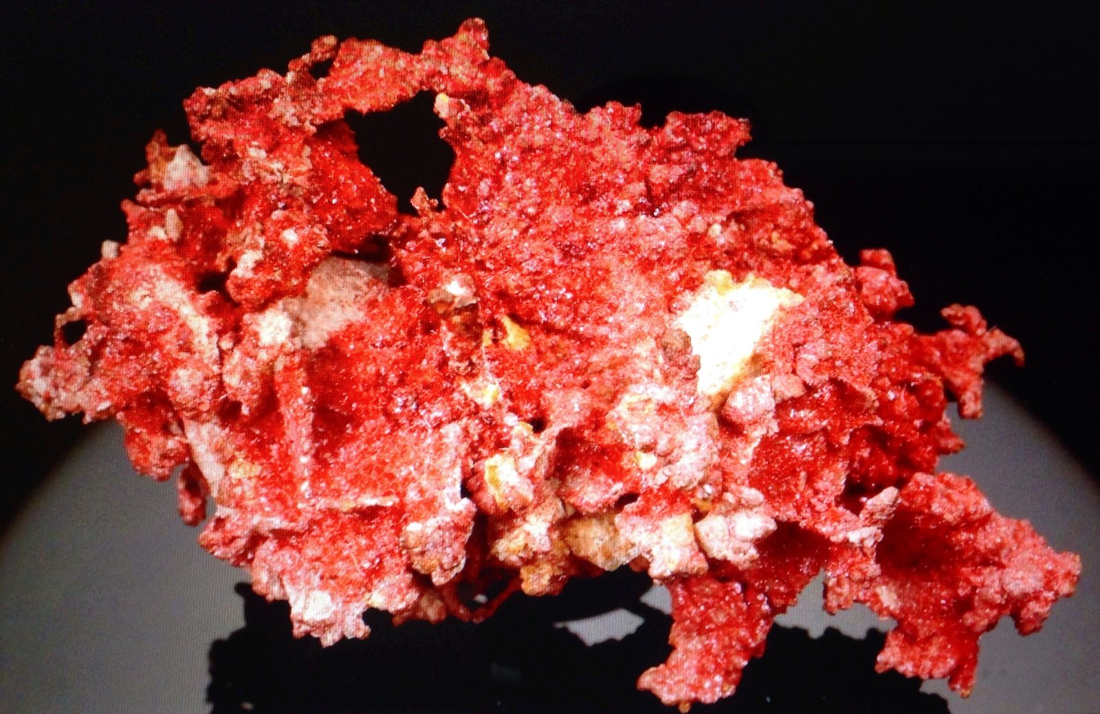 Cuprite (variety chalcotrichite)
5.4 x 2.9 x 2.46 cm
(Autor: JC)